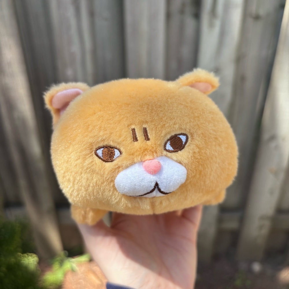 Cute Small Amuse Cat Plush